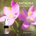 Flores de Bach: Centaura (Centaury) - Liberación