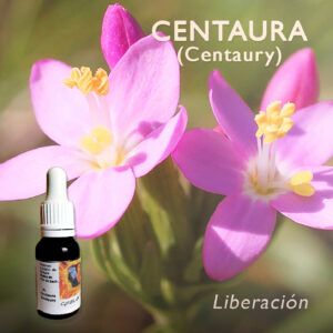 Flores de Bach: Centaura (Centaury) - Liberación