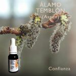 Flores de Bach: Alamo Temblon (Aspen) Confianza