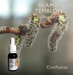 Flores de Bach: Alamo Temblon (Aspen) Confianza