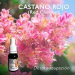 Flores de Bach: Castaño Rojo (Red Chesnut)