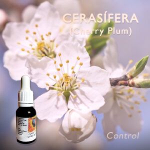 Flores de Bach: Cerasífera (Cherry Plum) - Control