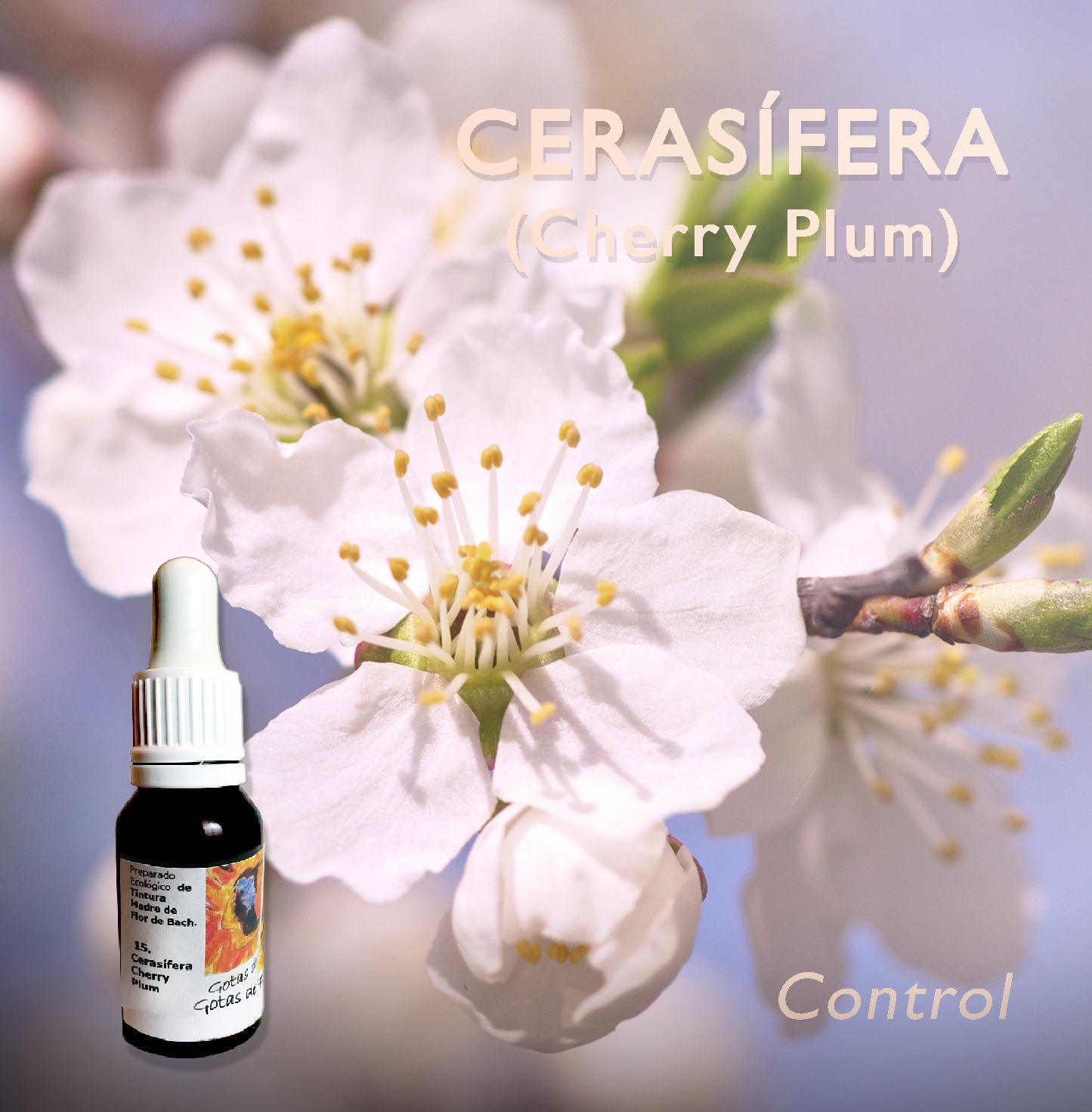 Flores de Bach: Cerasífera (Cherry Plum) - Control