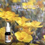 Flores de Bach: Heliantemo (Rock Rose) - Valor