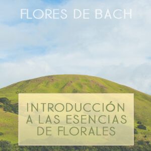 Introducción a las esencias florales