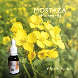 Flores de Bach: Mostaza (Mustard) - Optimismo