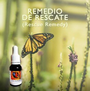 Flores de Bach: Remedio de rescate (Rescue Remedy)