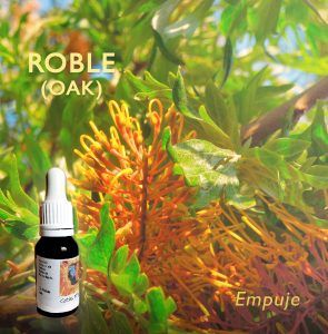 Flores de Bach: Roble (Oak) - Empuje