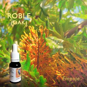 Flores de Bach: Roble (Oak) - Empuje