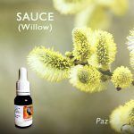 Flores de Bach: Sauce (Willow)