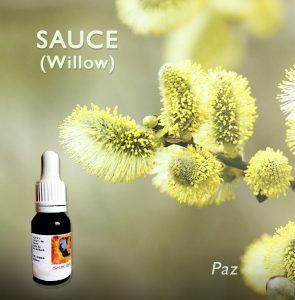 Flores de Bach: Sauce (Willow)