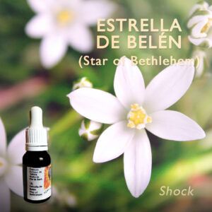 Flores de Bach: Estrella de Belen (Star of Bethlehem) - Shock