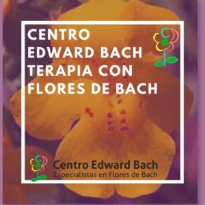 terapia con flores de bach