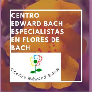 terapia con flores de bach