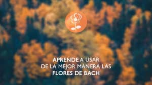 Centro Edward Bach - Aprende a usar las flores de bach